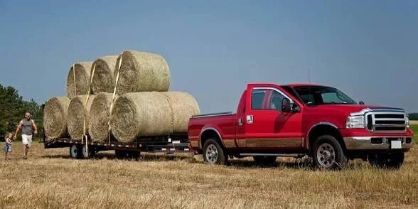 A red pickup truck loaded with large round hay bales on a trailer in a harvested field.