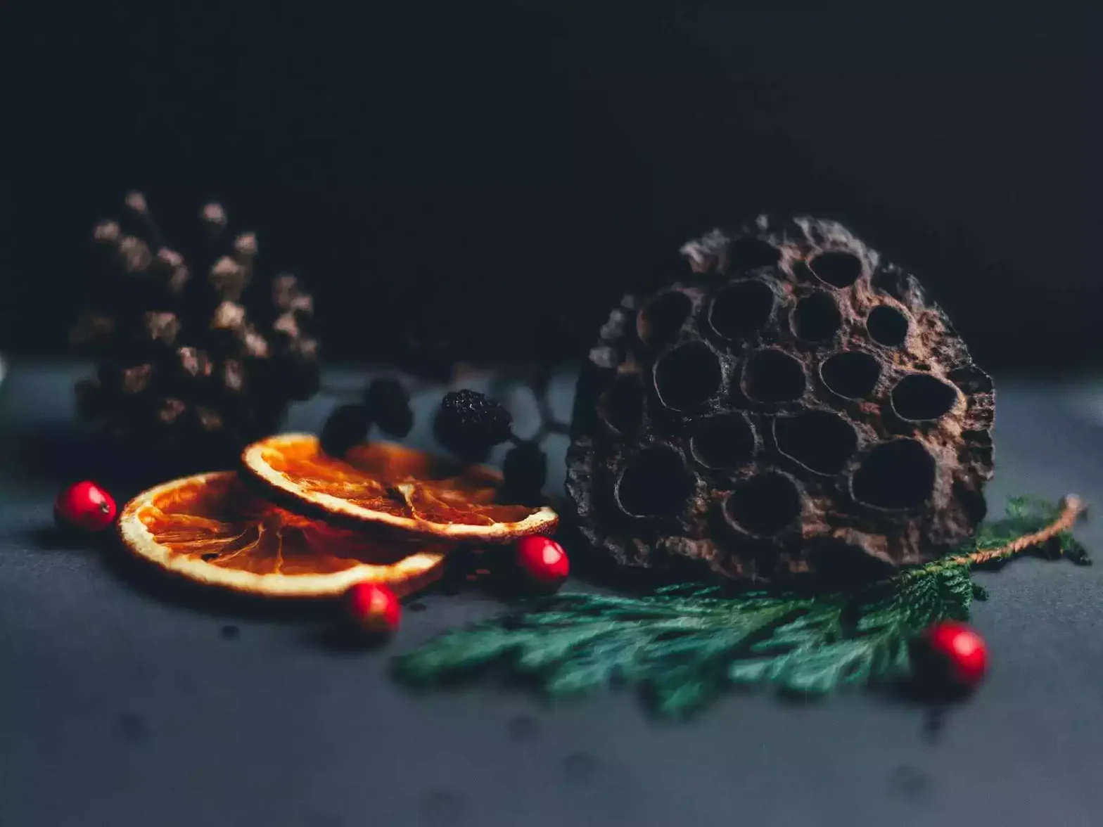 Moody still life arrangement with dried citrus slices, lotus seed pod, evergreen foliage, and berries