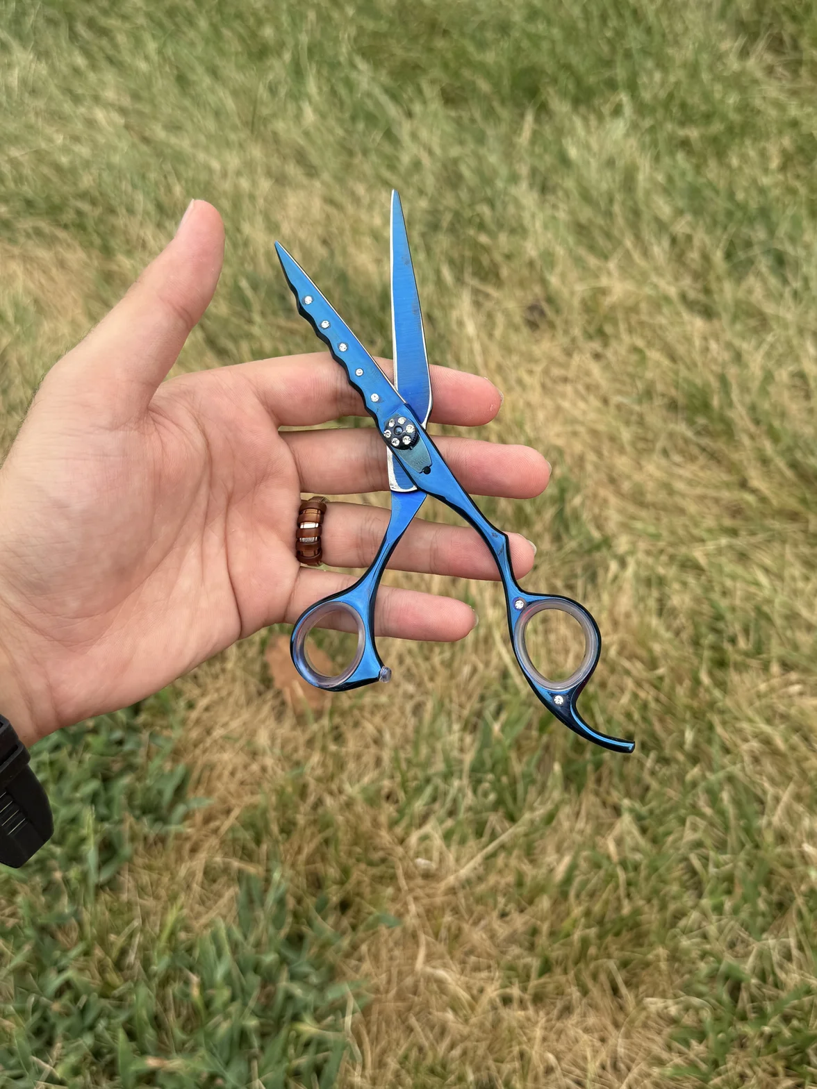 Blue professional hair shears held in hand outdoors, with a decorative crystal design and ergonomic handles